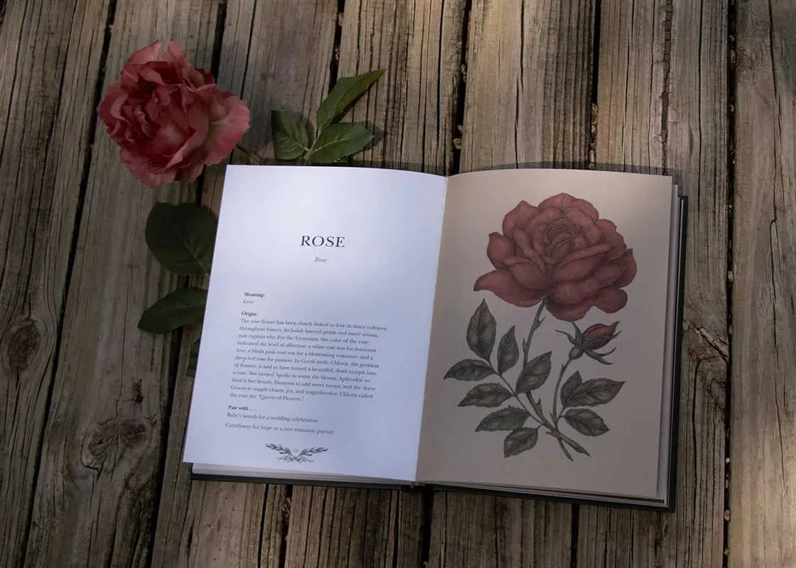 Floriography by Jessica  Roux - Witchy wonder