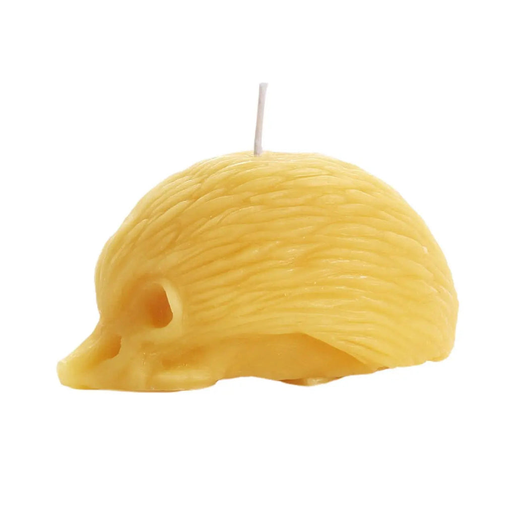 Hedgehog Candle – 100% Pure Beeswax – Handcrafted - Witchy wonder