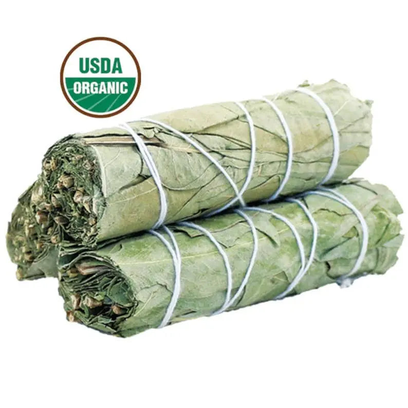 Eucalyptus Smudge Stick - Witchy wonder