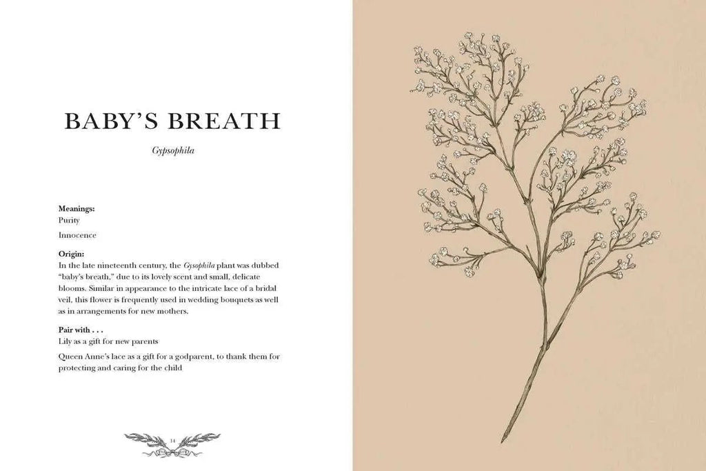 Floriography by Jessica  Roux - Witchy wonder