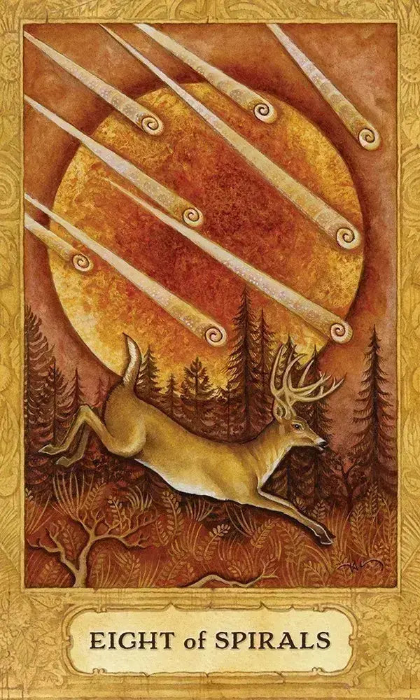 Chrysalis Tarot - Witchy wonder