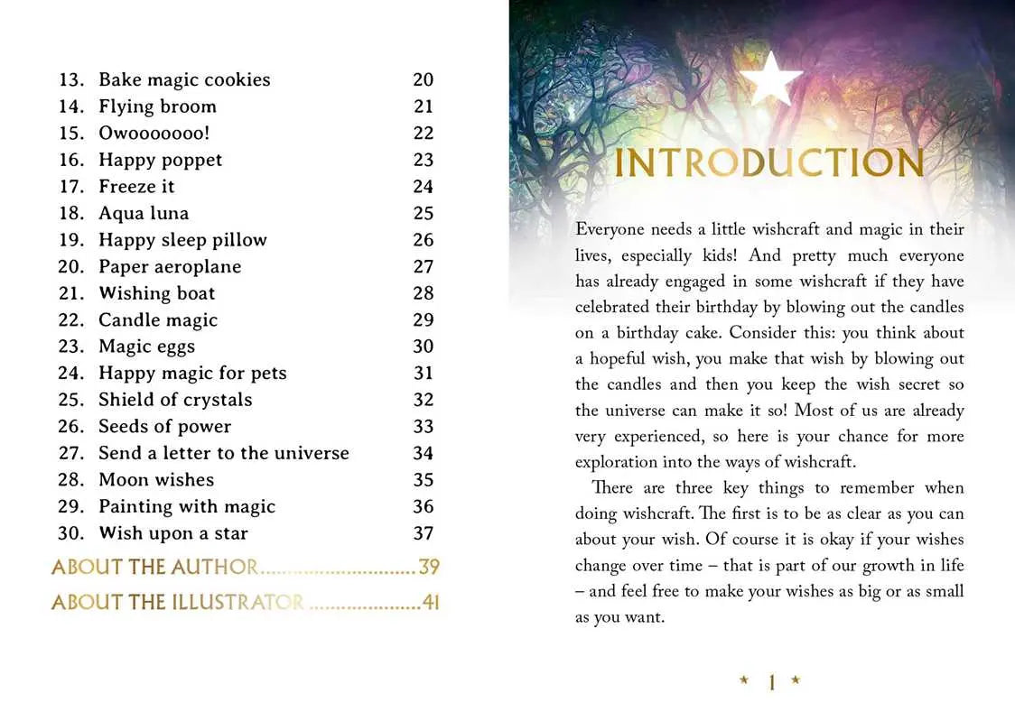 Wishcraft Oracle by Stacey Demarco - Witchy wonder
