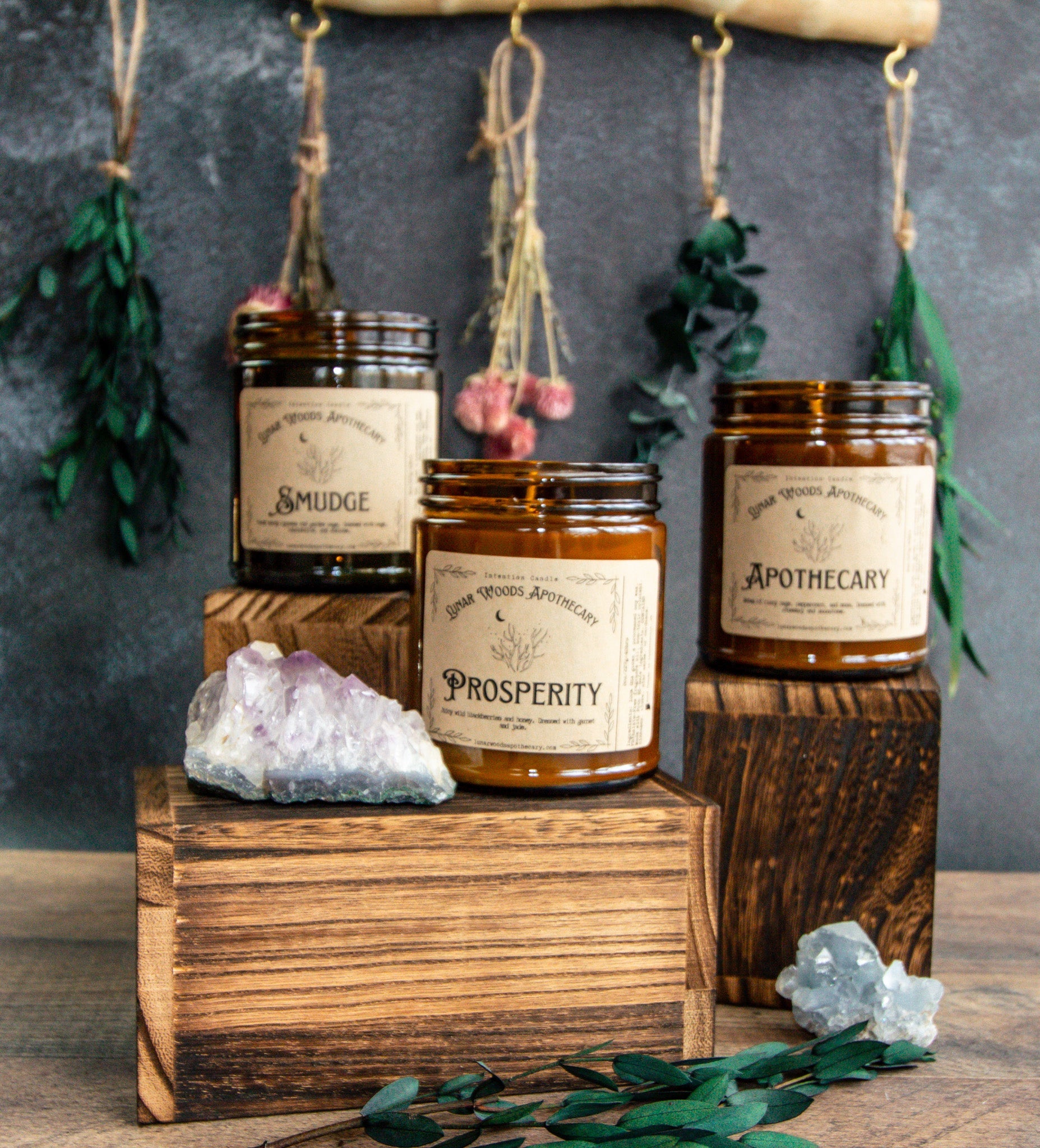 NEW Prosperity - Witchy wonder