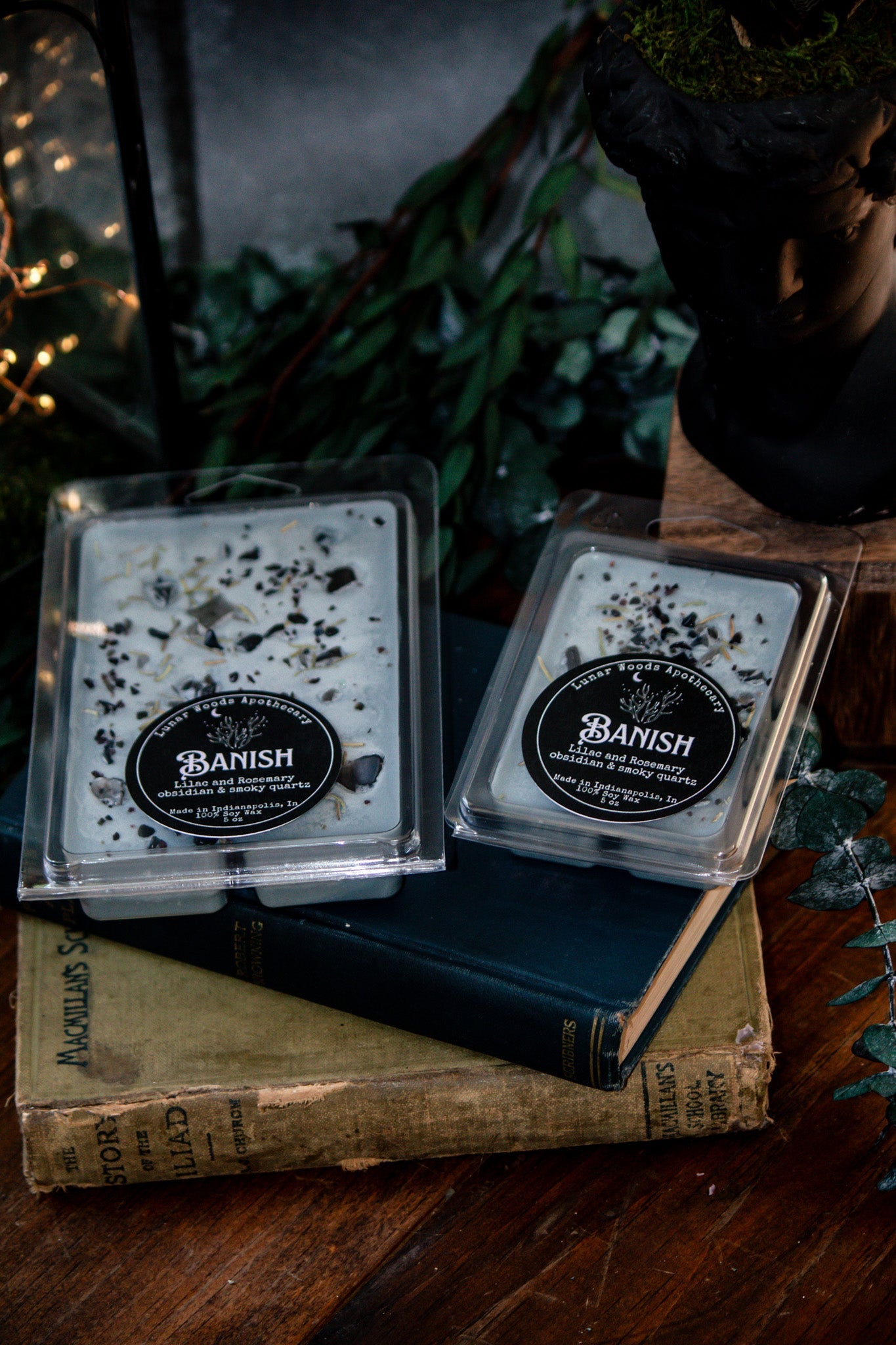 Banish — Witchy Wax Melts - Witchy wonder