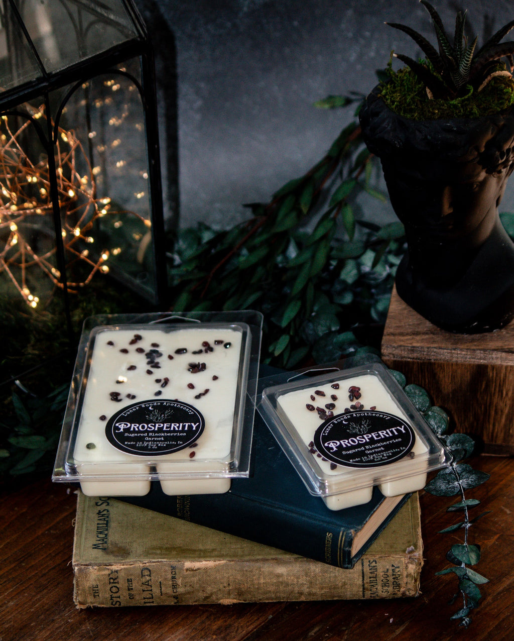 Prosperity — Witchy Wax Melts - Witchy wonder