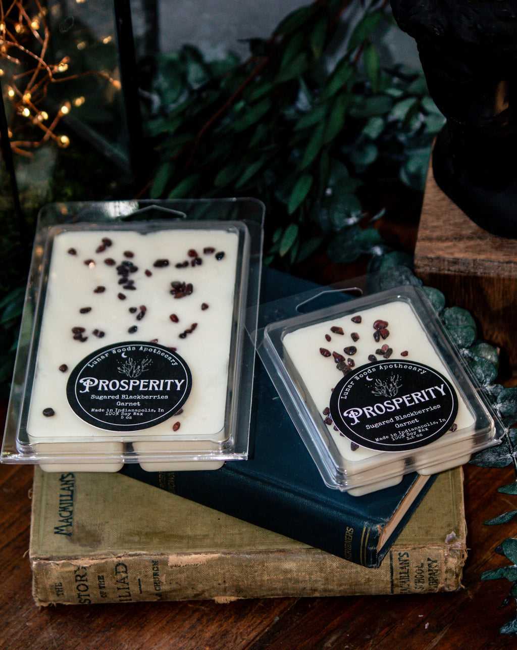 Prosperity — Witchy Wax Melts - Witchy wonder