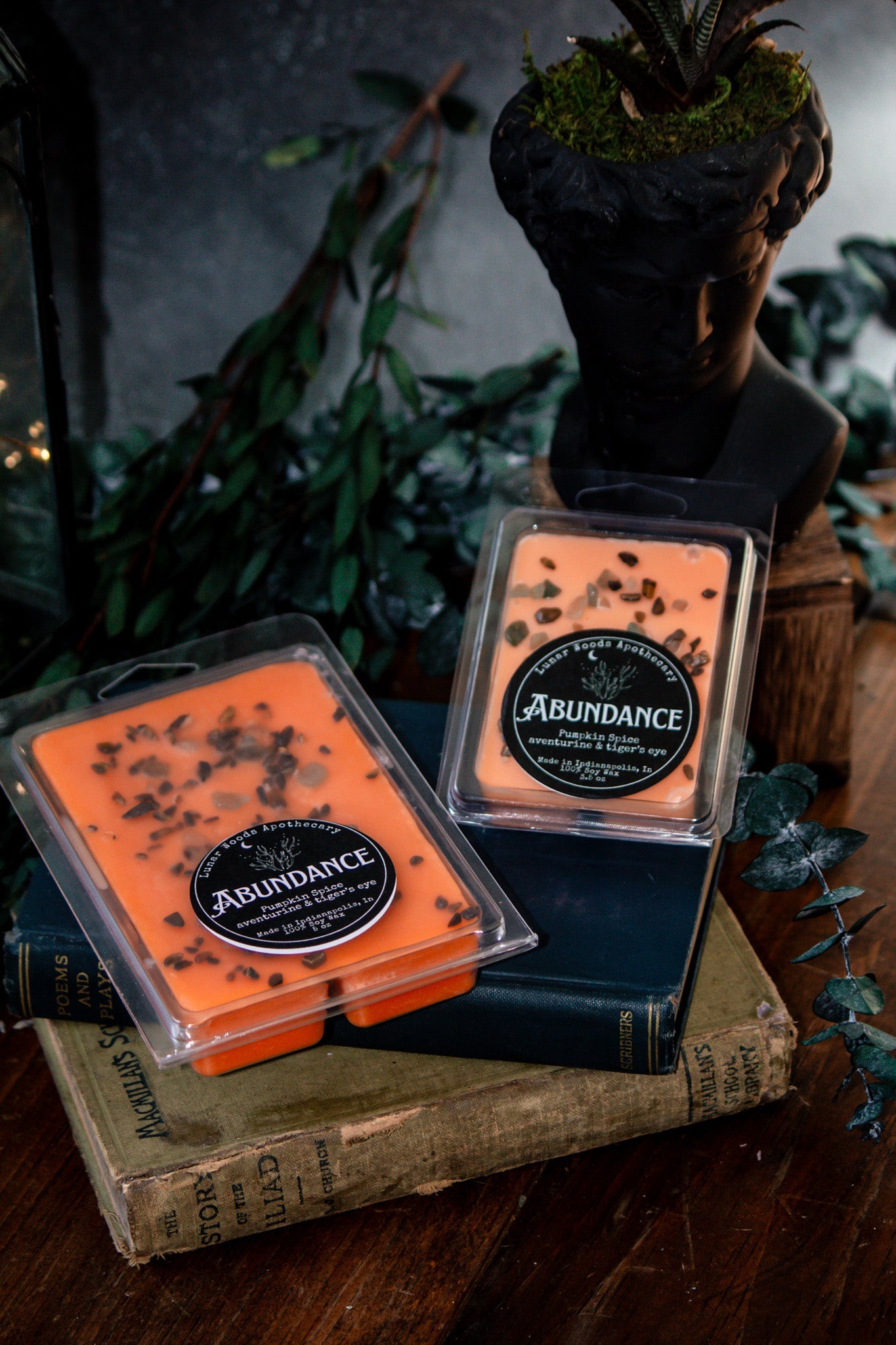 Abundance — Witchy Wax Melts - Witchy wonder