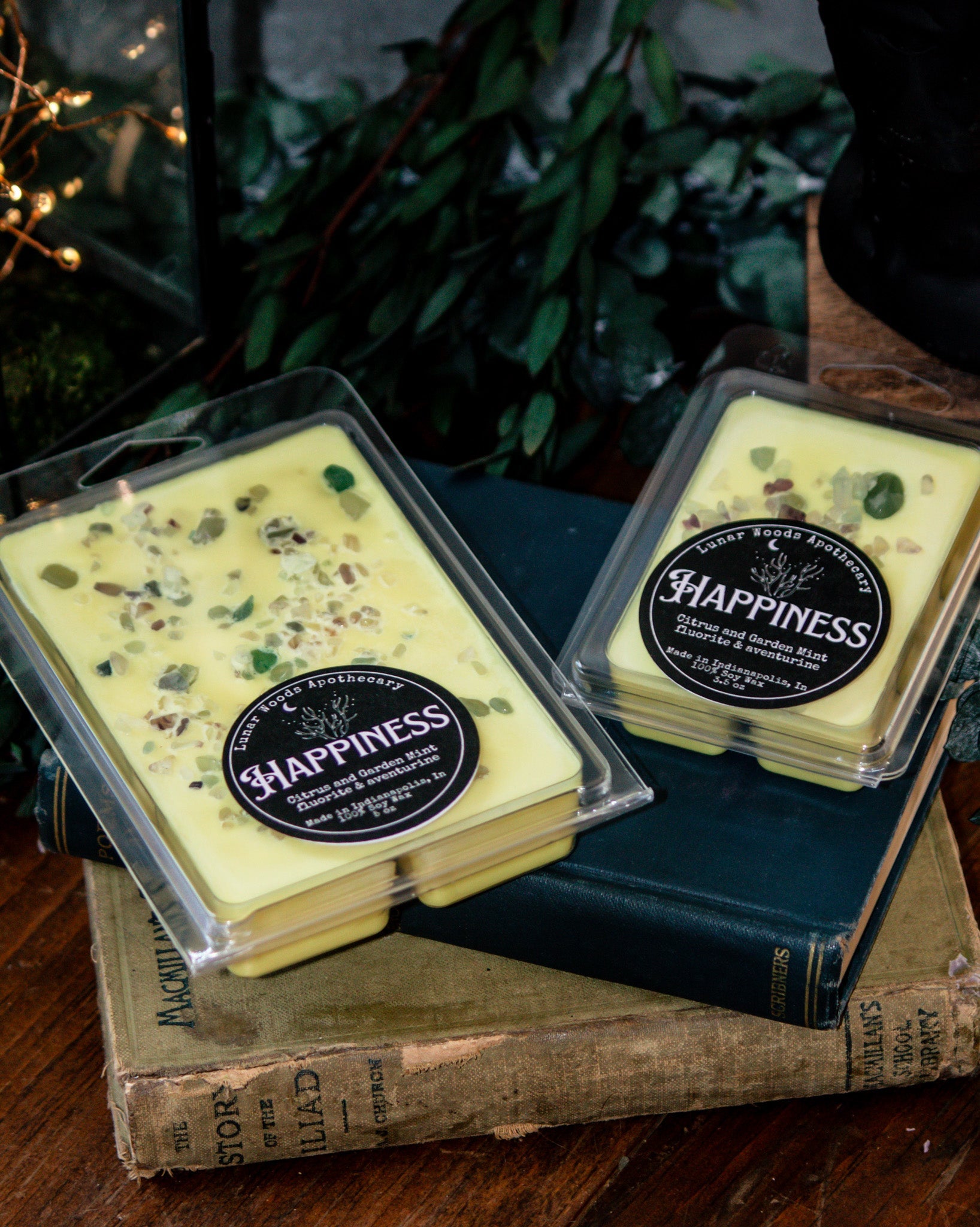 Happiness — Witchy Wax Melts - Witchy wonder
