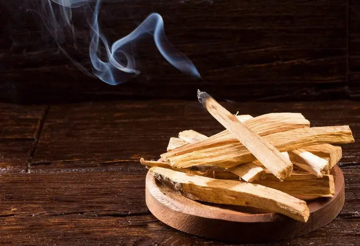 Palo Santo Sticks - Witchy wonder