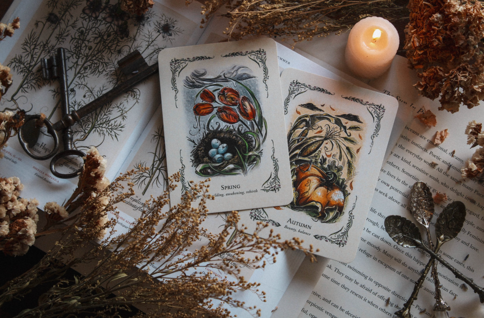 The Green Witch's Oracle Deck - Witchy wonder