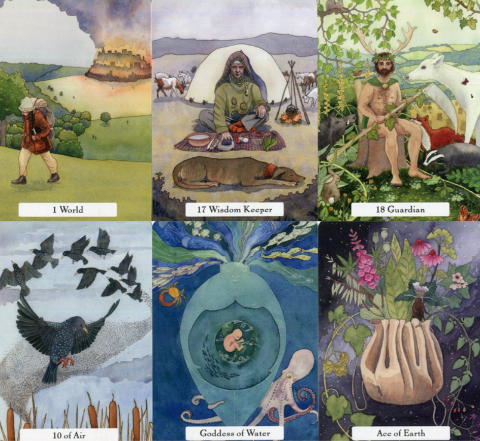 The Witches’ Wisdom Tarot Deck - Witchy wonder