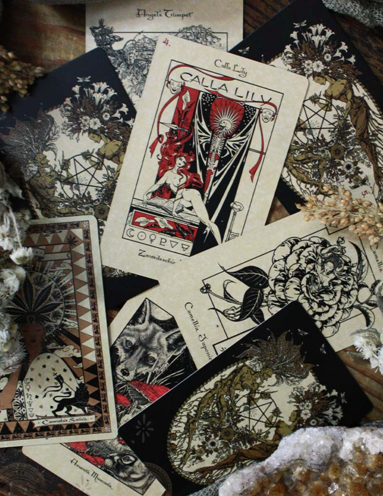 The Magickal Botanical Oracle Deck - Witchy wonder