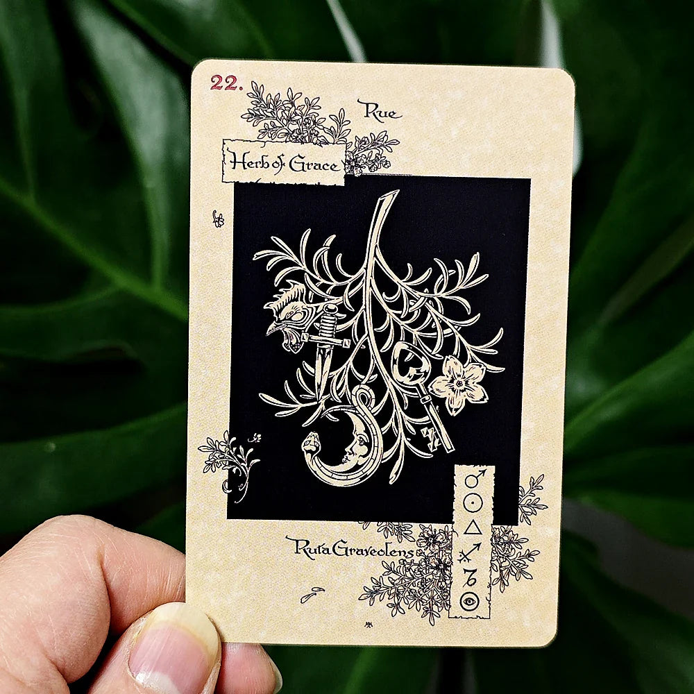 The Magickal Botanical Oracle Deck - Witchy wonder
