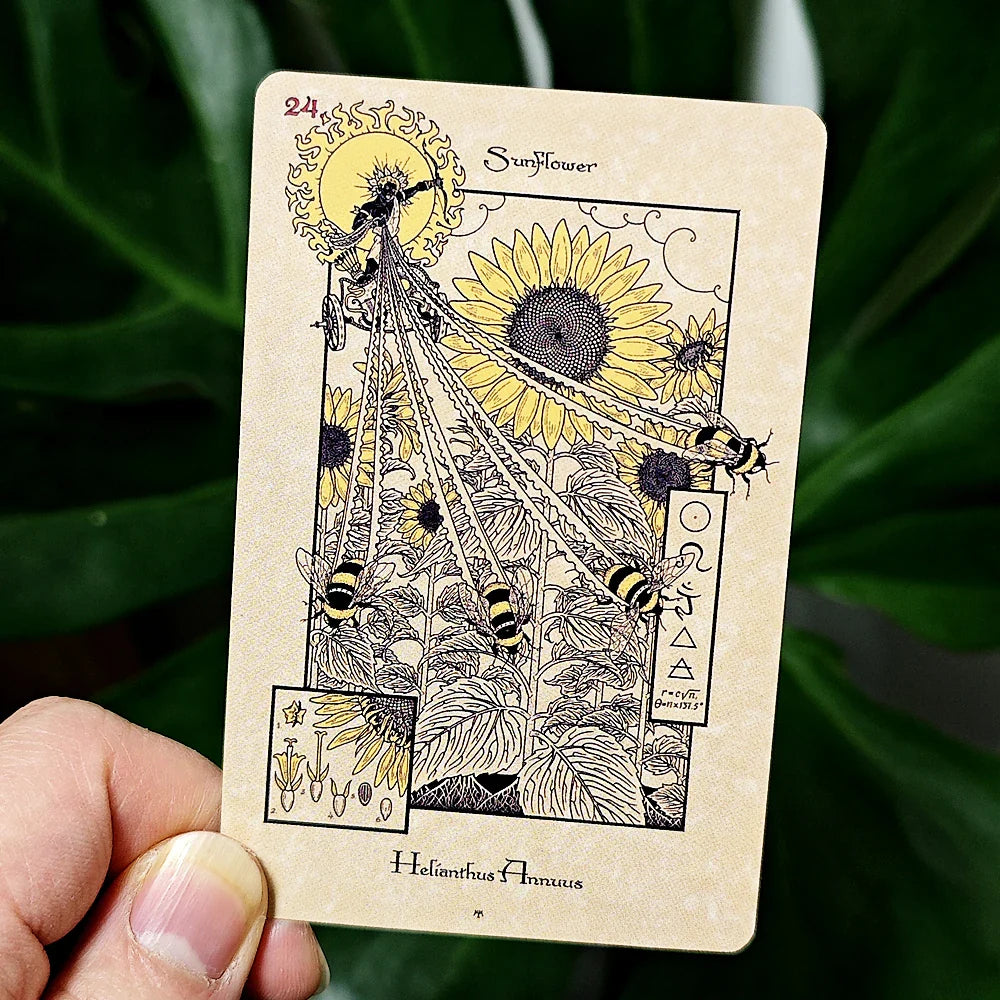 The Magickal Botanical Oracle Deck - Witchy wonder