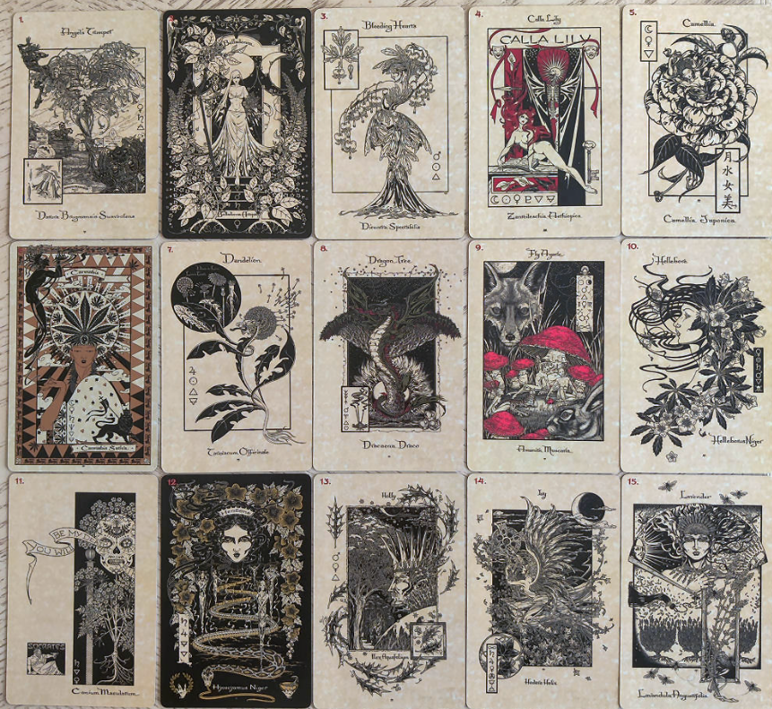 The Magickal Botanical Oracle Deck - Witchy wonder
