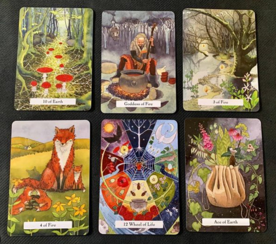 The Witches’ Wisdom Tarot Deck - Witchy wonder