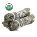 Pine Smudge Stick (4 in.) - Witchy wonder