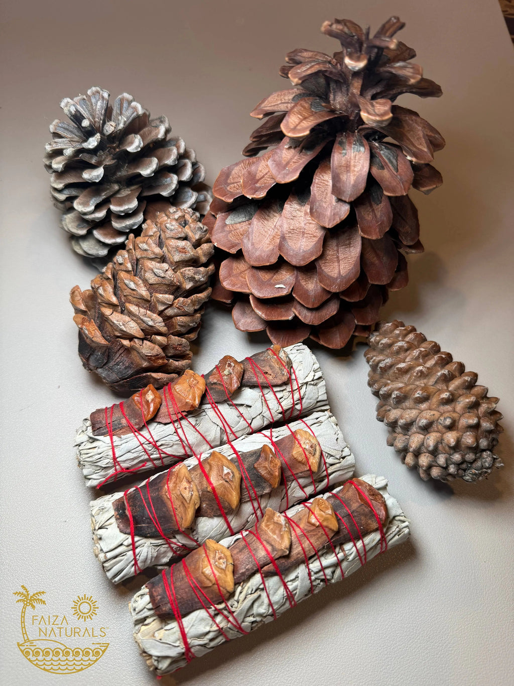 Pine Cone White Sage Bundles - Witchy wonder