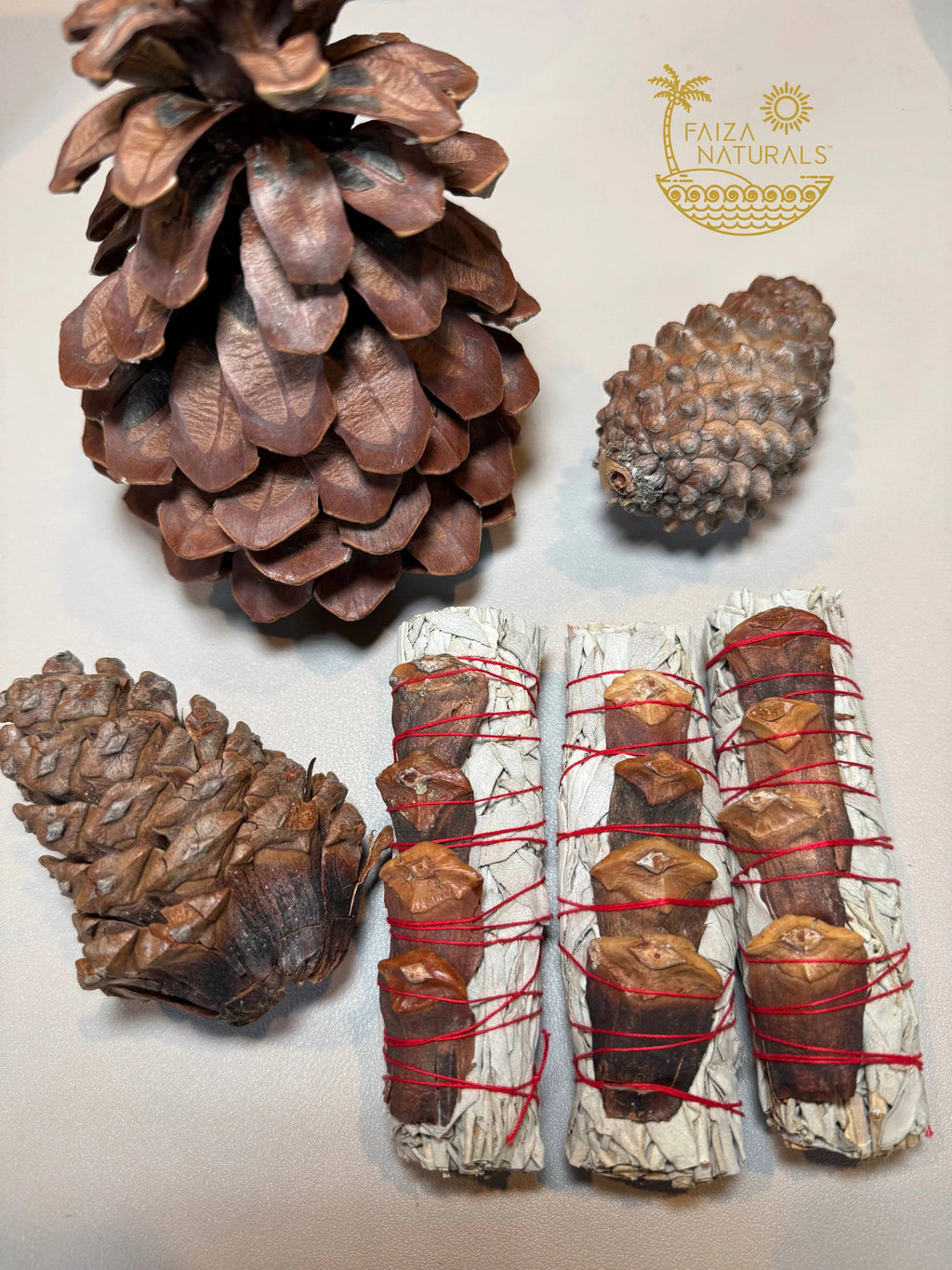 Pine Cone White Sage Bundles - Witchy wonder