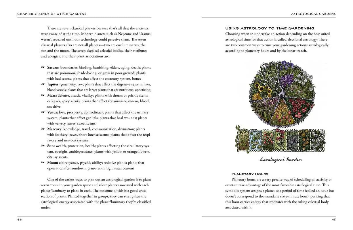 Green Witch's Garden - Witchy wonder