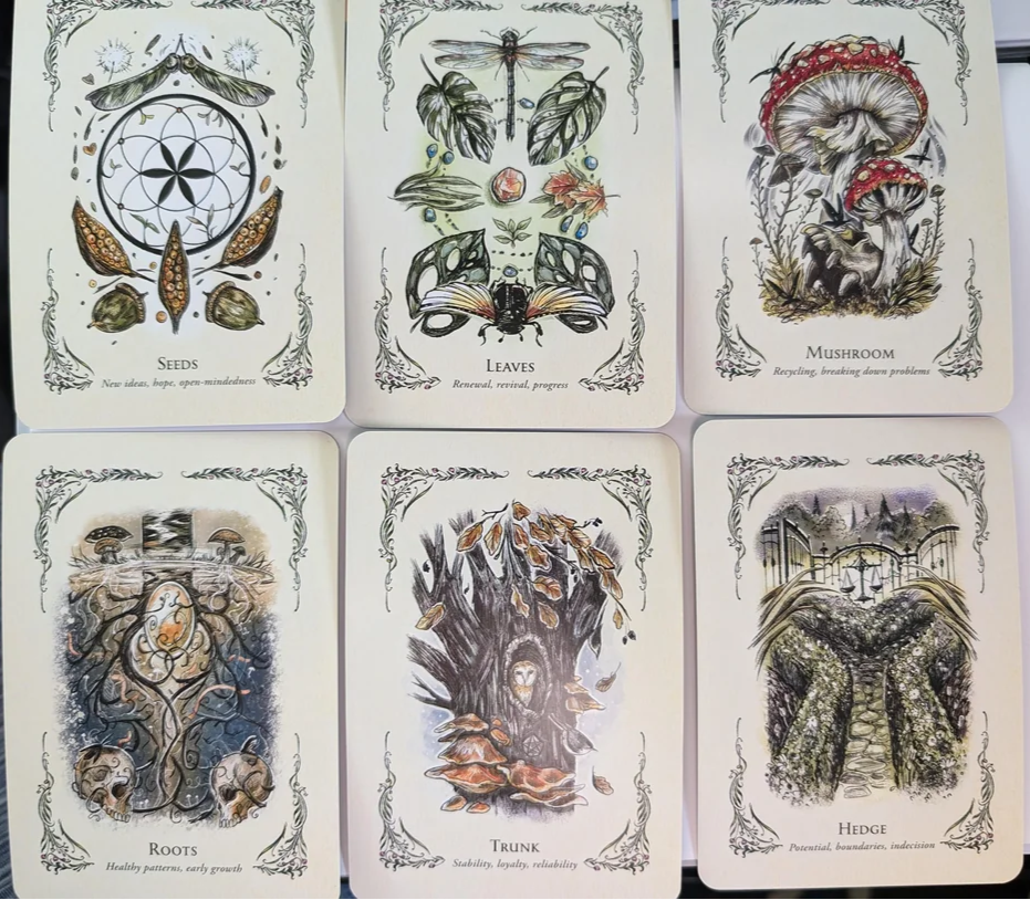 The Green Witch's Oracle Deck - Witchy wonder